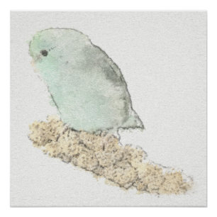 Turquoise Parrotlet on Millet Watercolor Poster