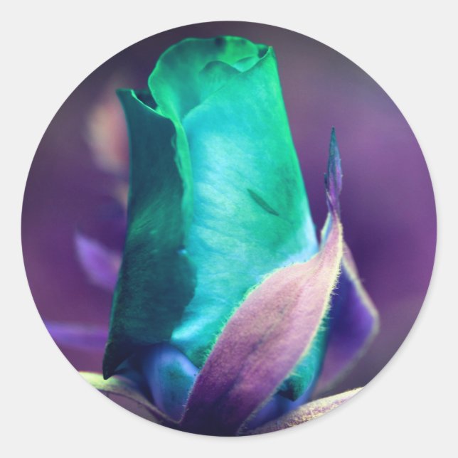 Turquoise Rosebud Flower Abstract Classic Round Sticker (Front)