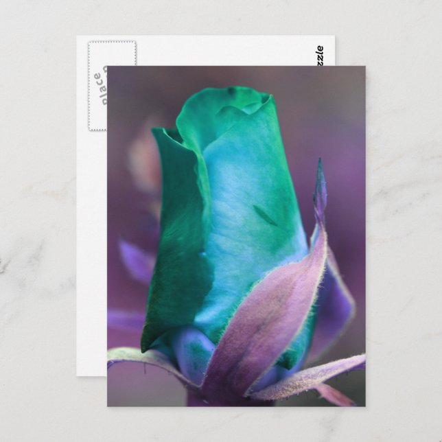 Turquoise Rosebud Flower Personalized Postcard (Front/Back)