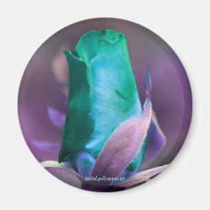 Turquoise Rosebud Flower Photography Magnet