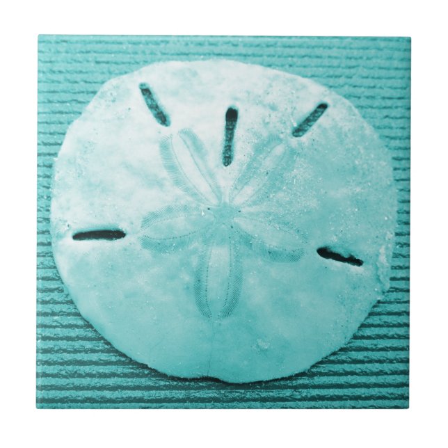 Turquoise Sand Dollar Tile (Front)