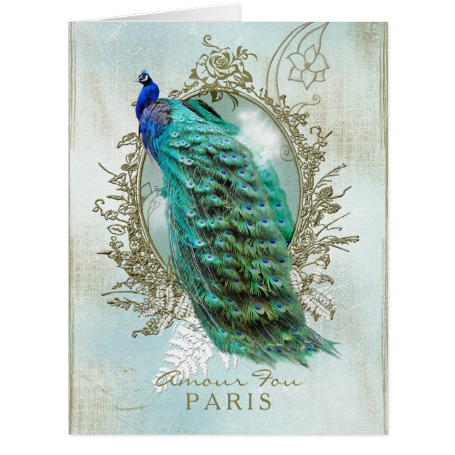 Turquoise Shabby Peacock (Front)