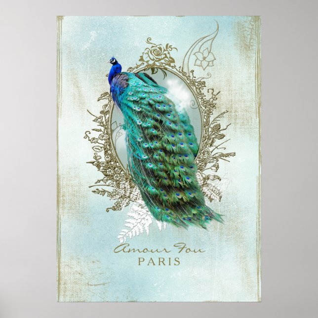 Turquoise Shabby Peacock - Poster (Devant)