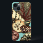 Turquoise Shell and Red Coral Collection iPhone 13 Case<br><div class="desc">Go underwater to explore the sea with all these different sea creatures. This vintage piece of art is a perfect addition to any sea anemone lovers with a vibrant turquoise background and red accents on the seashells. Get your art print today on your product.</div>
