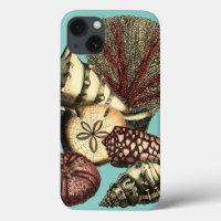 Turquoise Shell and Red Coral Collection