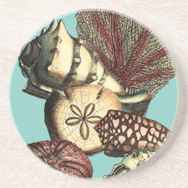 Turquoise Shell and Red Coral Collection Coaster (Front)