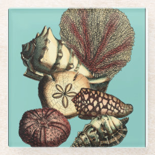 Turquoise Shell and Red Coral Collection Glass Coaster