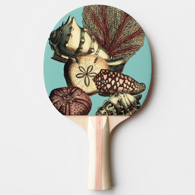 Turquoise Shell and Red Coral Collection Ping Pong Paddle (Front)