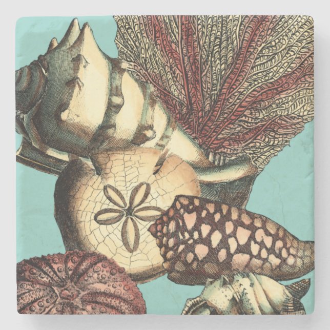 Turquoise Shell and Red Coral Collection Stone Coaster (Front)