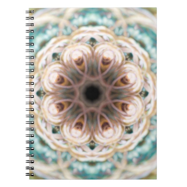 Turquoise Shell Mandala Blank Journal (Front)