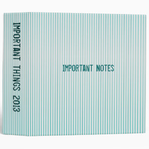 Turquoise stripe binder