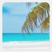 Turquoise Tropical Beach