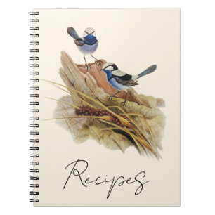 Turquoisine Superb Warbler,  Notebook