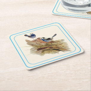 Turquoisine Superb Warbler,  Square Paper Coaster