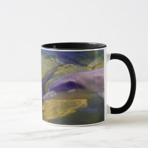 TURSIOPS ADUNCUS MUG
