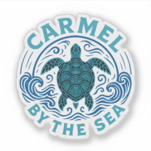 Turtel Carmel by the sea beach california