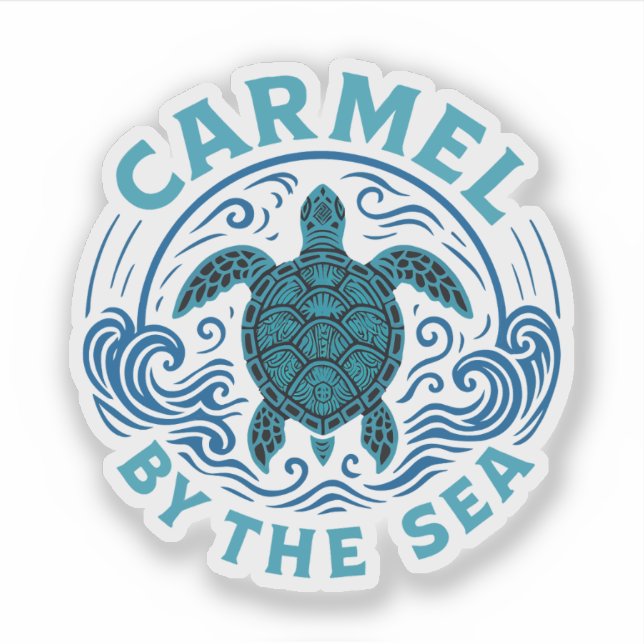 Turtel Carmel by the sea beach california (Front)