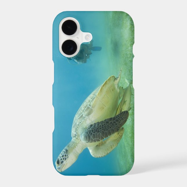 Turtle (Back)