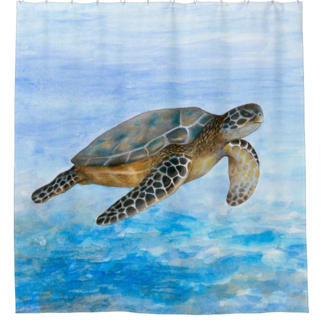 Turtle 1 (Front)