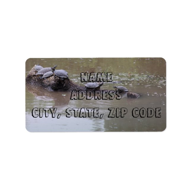 Turtle Address Labels (Front)
