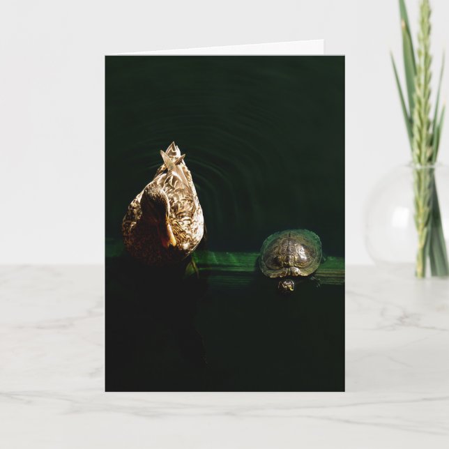 Turtle and Duck Art Photograph Card (Front)