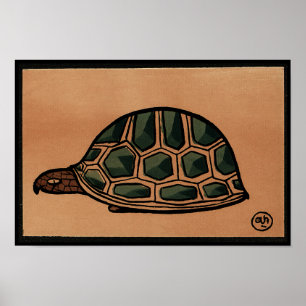 Turtle - Antiquarian, Colourful Book Illustration Poster