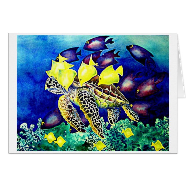 Turtle at Cleaning Station (Front Horizontal)