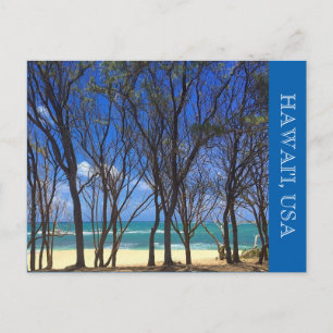 turtle bay beach trees postcard
