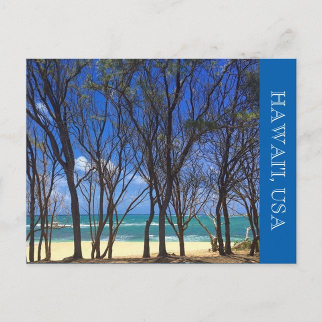 turtle bay beach trees postcard (Front)