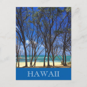 turtle bay trees postcard