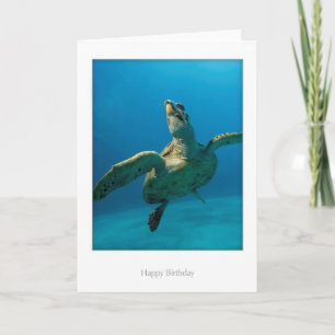 Turtle Birthday Card