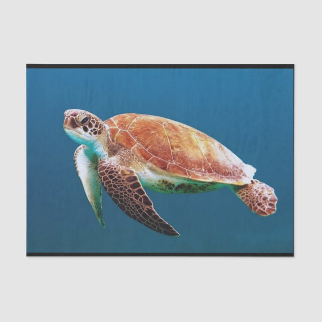 Turtle Blue Water Sea Photo Tissue Paper (Front)