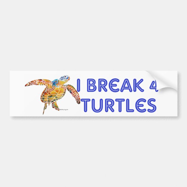 Turtle Bumper Sticker (Front)
