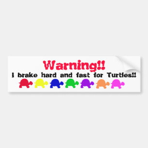 Turtle bumper sticker (colourful)