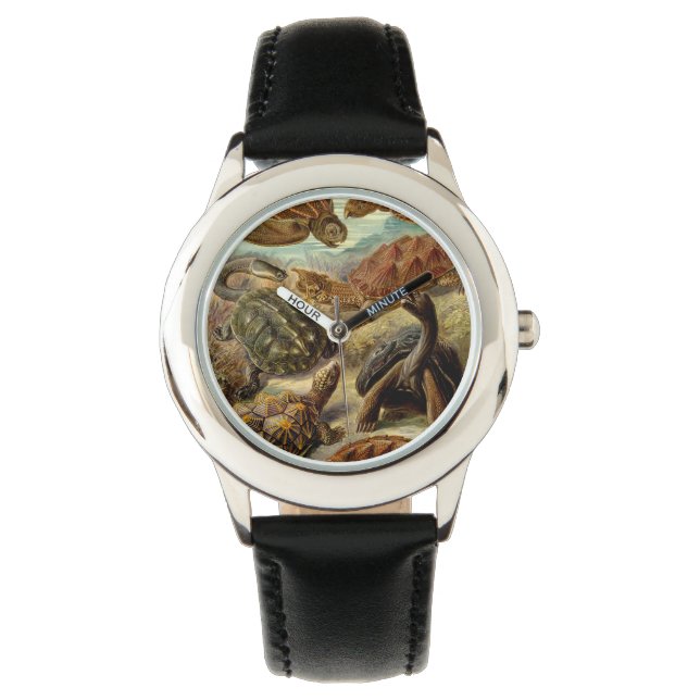 Turtle (Chelonia) by Haeckel Watch (Front)