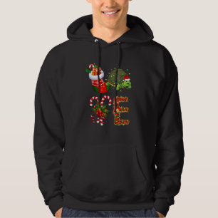 Turtle Christmas Lights Led  Santa Hat Christmas Hoodie
