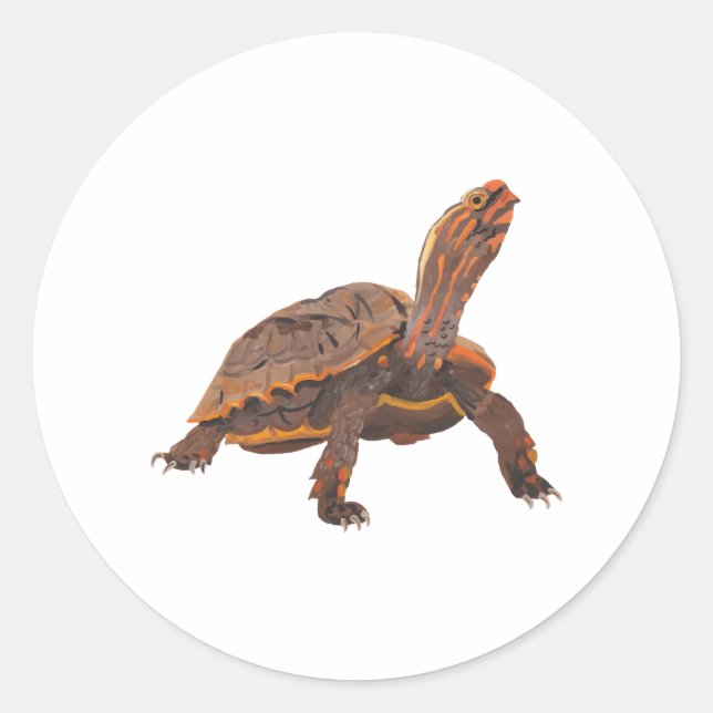 Turtle Classic Round Sticker (Front)