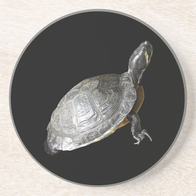 Turtle Coaster (Front)