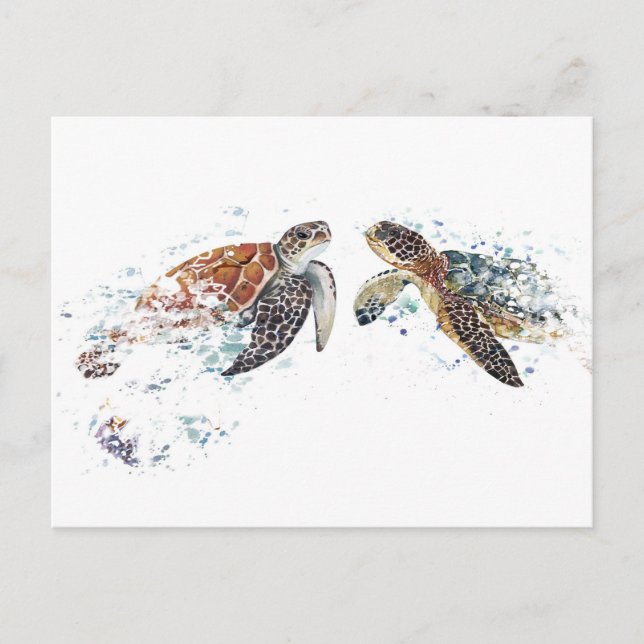 Turtle Couple Postcard (Front)