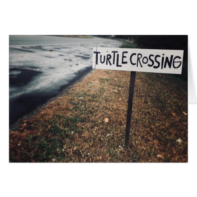 turtle crossing (Front Horizontal)