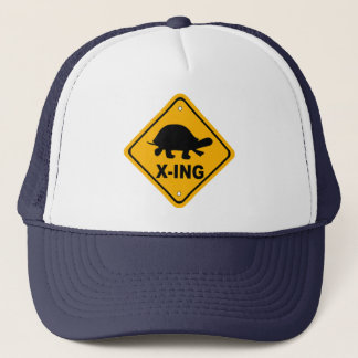 Turtle Crossing Hat