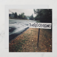 turtle crossing