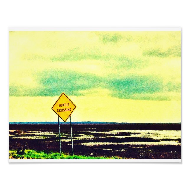 Turtle Crossing Photo Print (Front)