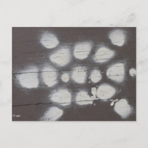 turtle crossing postcard