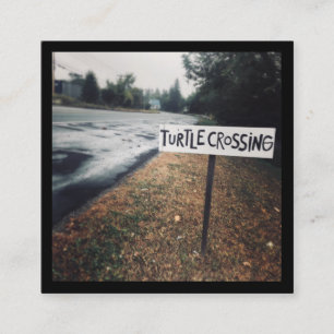 turtle crossing square business card