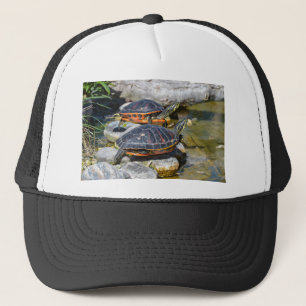 Turtle Cute Animal Office Custom Destiny Destiny'S Trucker Hat