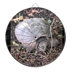 Turtle Dartboard