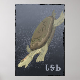Turtle Dives Too Deep Poster