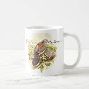 Turtle Dove Birds Wildlife Animals Mug