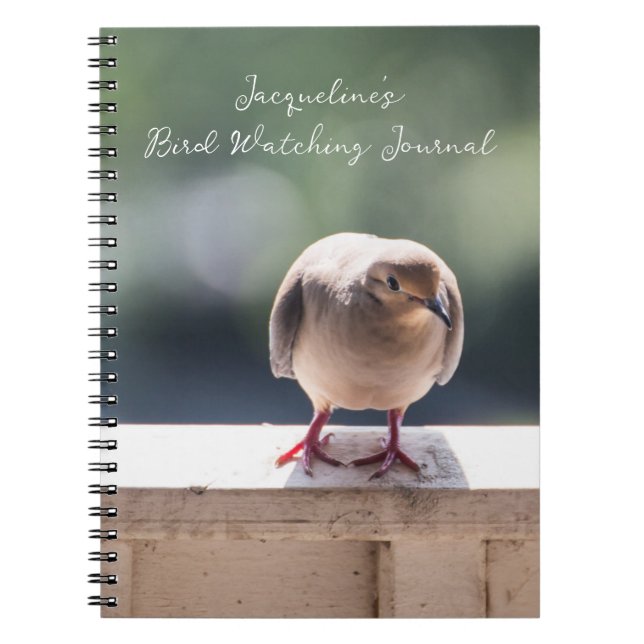 Turtle Dove on Ledge Bird Watching Notebook (Front)